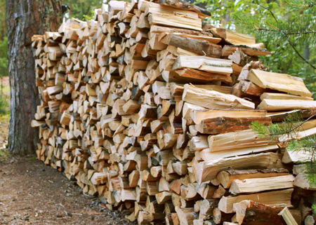 A pile of wood outside
